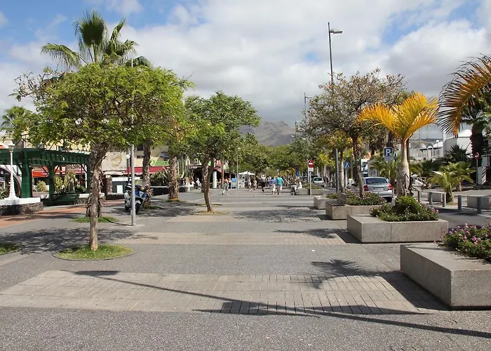 Отель Parque Santiago 2 Americas Плая-де-лас-Америкас